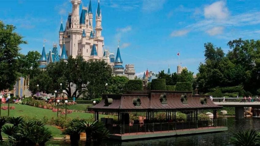 Desde 2016 más de 200 caimanes han sido capturados en Disney World