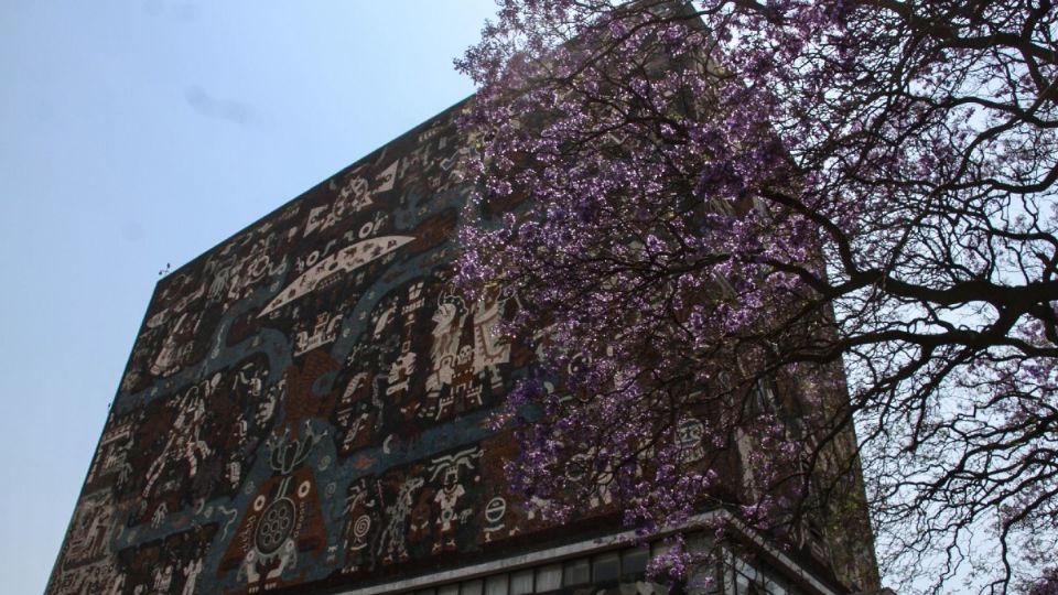 Imagen de la Biblioteca Central de la UNAM. Foto: Cuartoscuro