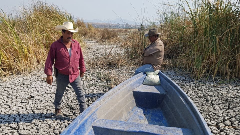 MANO HUMANA. La sobreexplotación y la deforestación secaron la zona oriente. Foto: Charbell Lucio