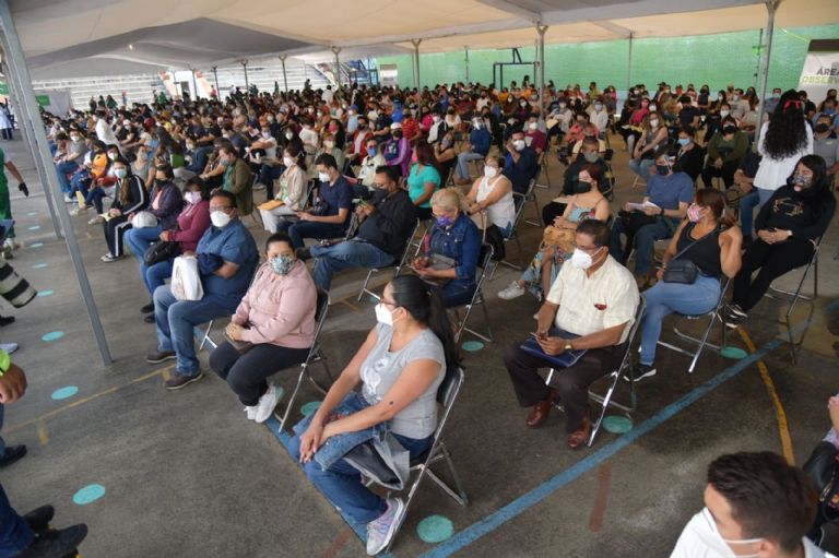 vacunación maestros