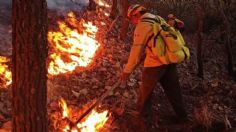 Sofocan seis incendios forestales en el Bosque de la Primavera; uno más ya está controlado