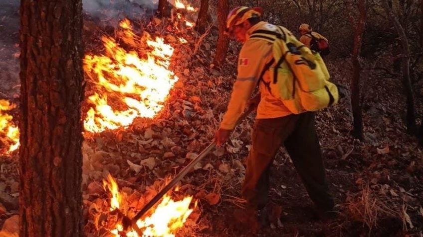 Sofocan seis incendios forestales en el Bosque de la Primavera; uno más ya está controlado