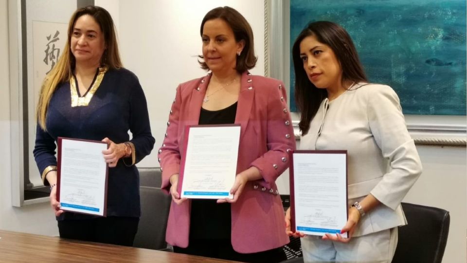 El documento fue elaborado bajo la supervisión de la Coordinación General de Investigación de delitos de Género y Atención a Víctimas de la FGJCDMX Foto: Especial