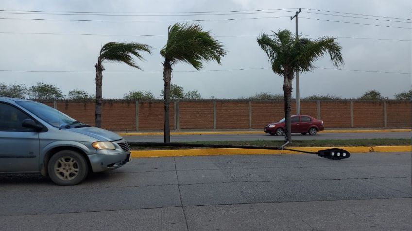 Fuertes vientos causan daños y apagones en Tampico