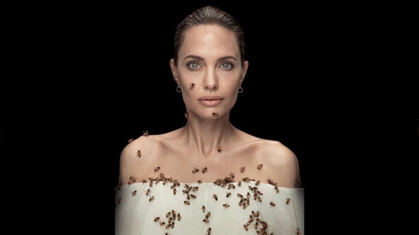 Angelina Jolie se cubre de abejas, no creerás por qué lo hizo: VIDEO