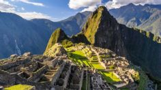 Familia de osos anteojos pasean por Machu Picchu