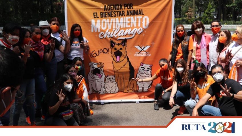 Movimiento Ciudadano busca impulsar agenda ciudadana de bienestar animal