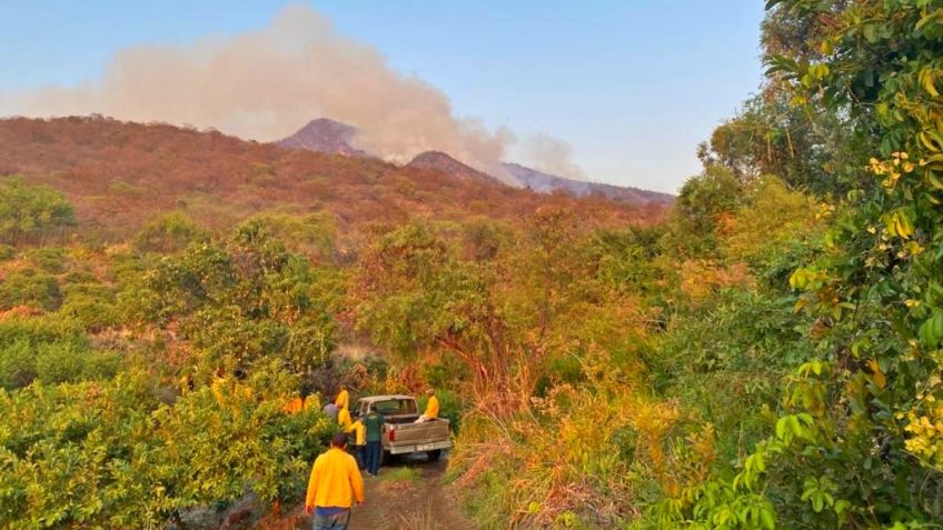 Incendio forestal en Cerro Grande, Michoacán, cumple tres días