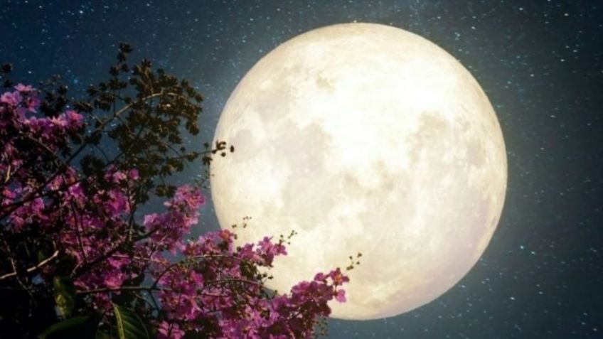 Superluna de flores: ¿Cómo y cuándo ver el fenómeno astronómico en México?