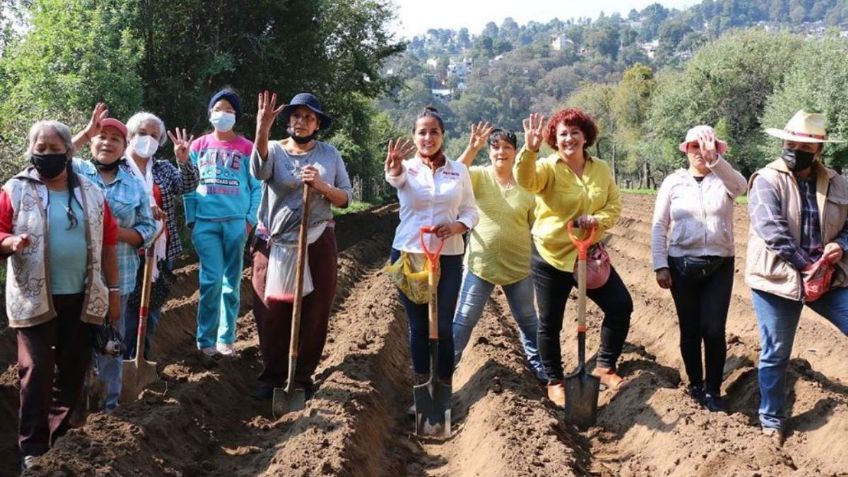 Asegura Paty Ortiz que la encuesta de la gente la mantiene 10 puntos arriba en MC