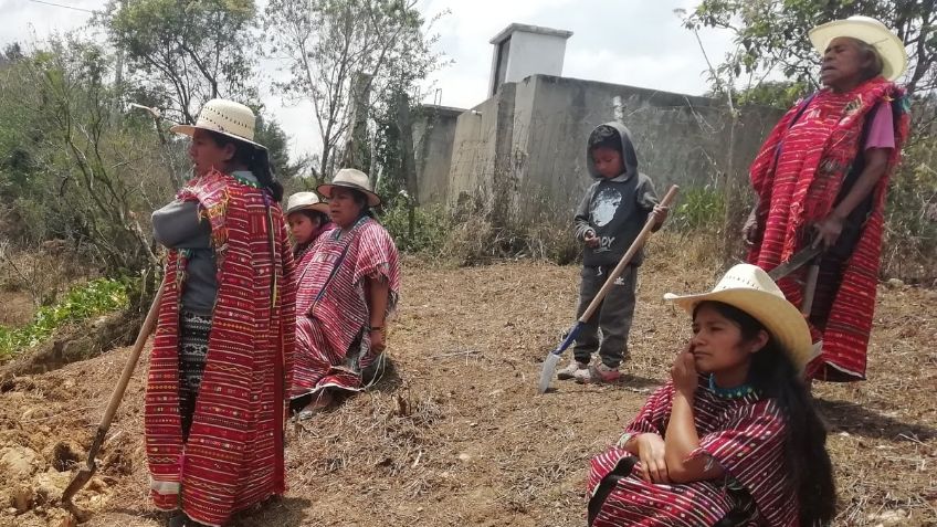 MÉXICO, orígenes y tiempos distintos