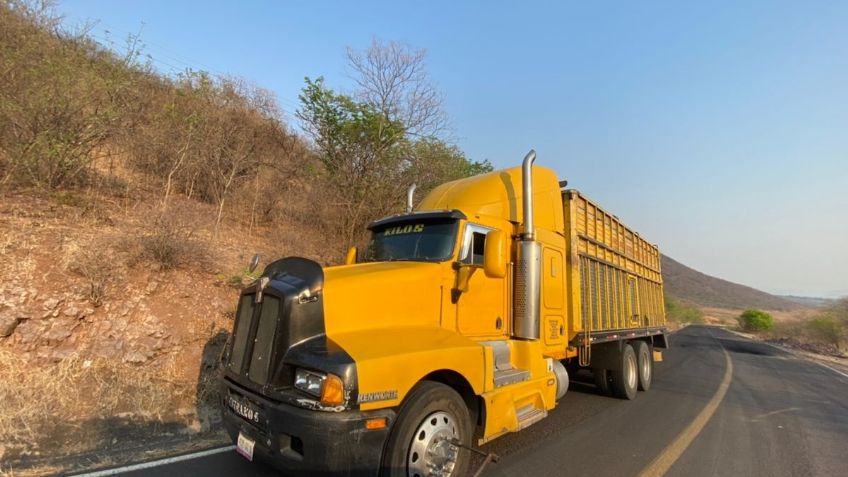 Delincuentes trozan carretera en Aguililla y colocan "poncha llantas"