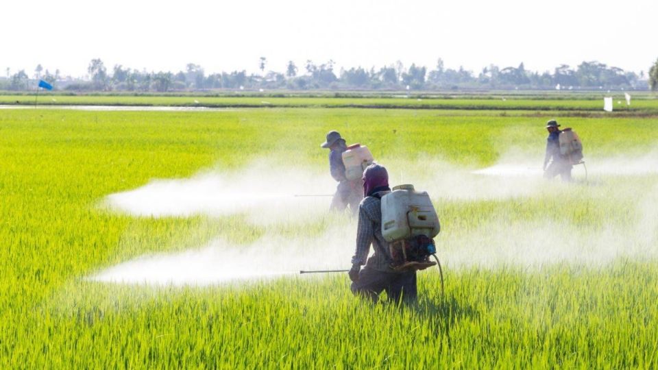 Para el director de Grupo Consultor de Mercados Agrícolas la relación entre México y Estados Unidos es fundamenta. FOTO: ESPECIAL