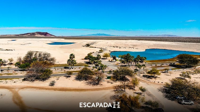 Escapada H: Puerto Peñasco, renacer natural