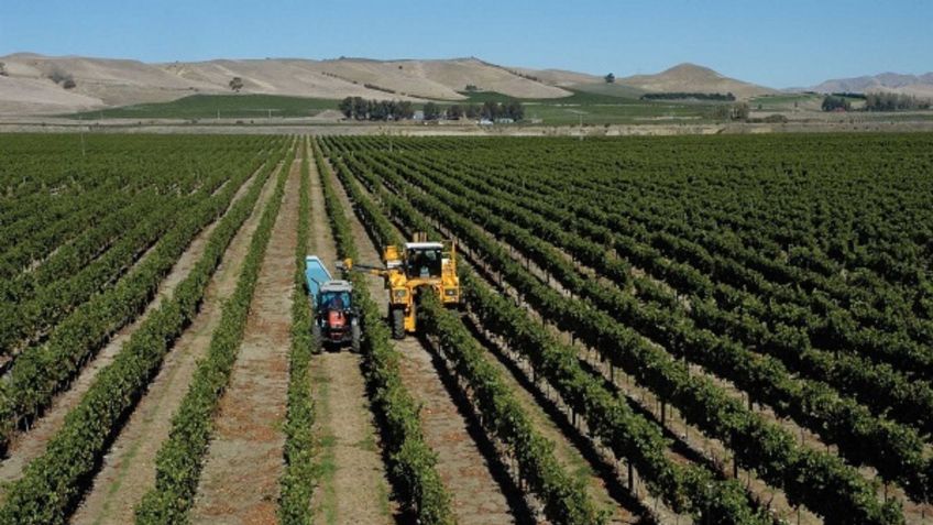 EU concentra el 81% de las exportaciones agroalimentarias de México, asegura Luis Fernando Haro