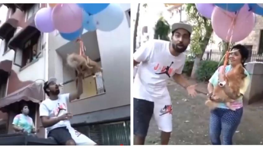 YouTuber hace volar a su perro con globos y las redes se le van encima: Video