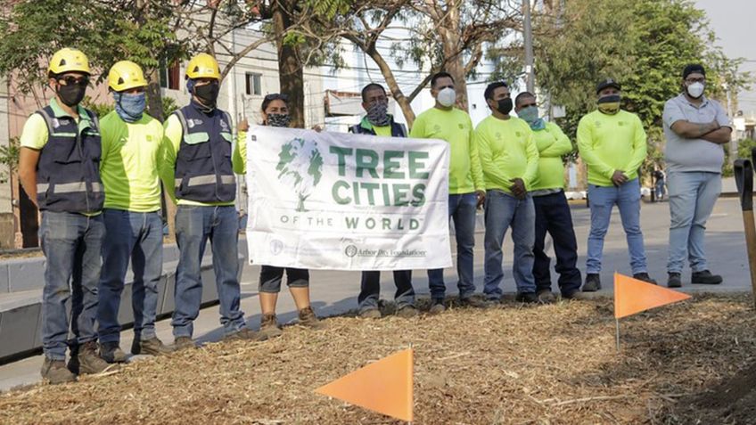 ¡Guadalajara planta 21 mil árboles! ¿Qué aporta esta actividad ecológica en el municipio?