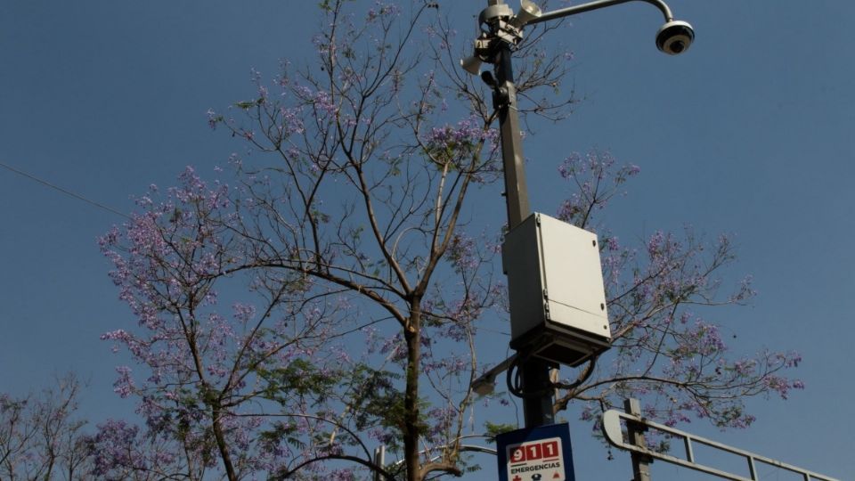 El C5 mencionó, además, que el 98% de los altavoces si funcionó durante la pasada prueba.

Foto: Cuartoscuro