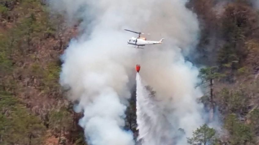 Cae helicóptero que combatía incendio forestal en Nuevo León