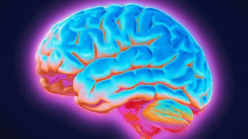 Memoria: Este es el alimento que afecta tu cerebro y lo consumes diariamente