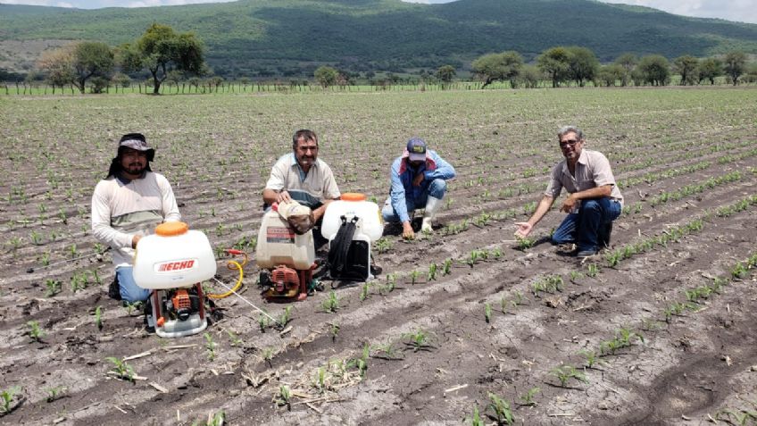 Alertan por daños a la tierra