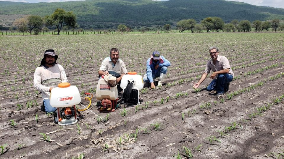 Se estima que México importa casi 70% de los fertilizantes que consume el campo. Foto: Especial