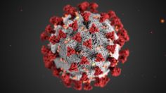 ÚLTIMA HORA CORONAVIRUS: La COVID-19 es una Enfermedad Vascular, una explicación a las secuelas