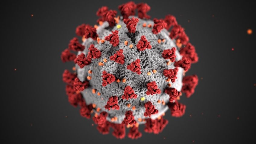 ÚLTIMA HORA CORONAVIRUS: La COVID-19 es una Enfermedad Vascular, una explicación a las secuelas