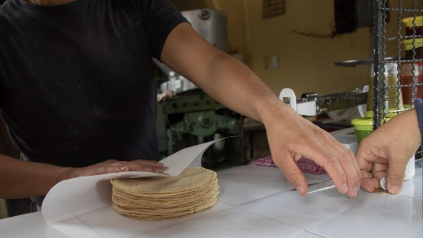 Esto cuesta AHORA el kilo de tortilla tras aumento en el precio del maíz