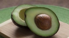 Aguacate: Descubren propiedades anticancerígenas en un componente de este fruto