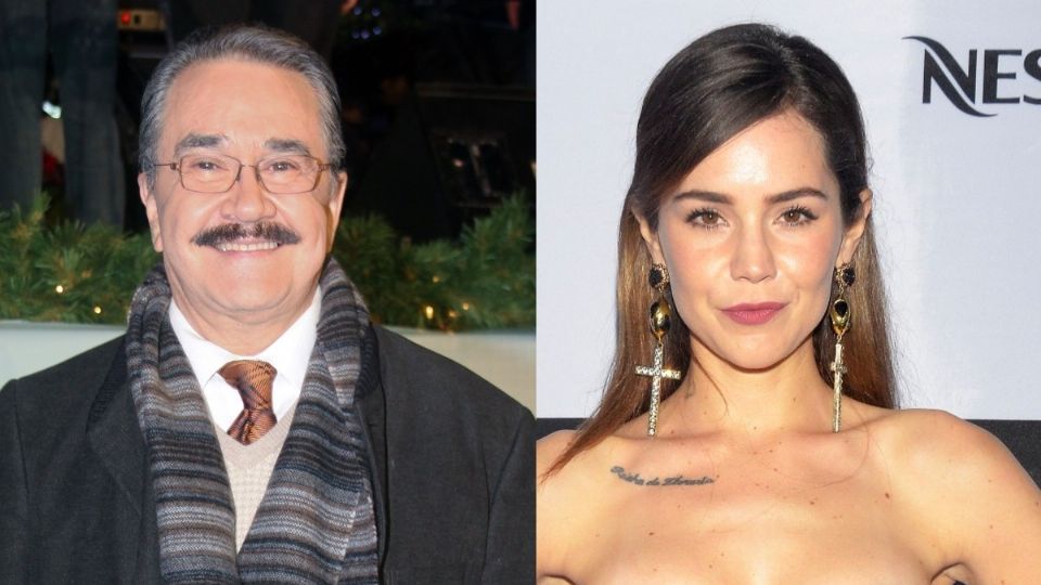 Pedro Sola pidió una disculpa por haber insultado a Camila Sodi. Foto: Especial