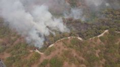 Incendio en Bosque de la Primavera ha sido controlado en un 80 por ciento, estiman autoridades