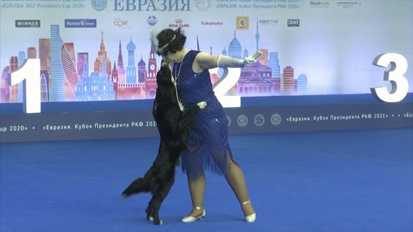 VIDEO VIRAL: Concurso de baile se vuelve tendencia, porque ¡es con perros!