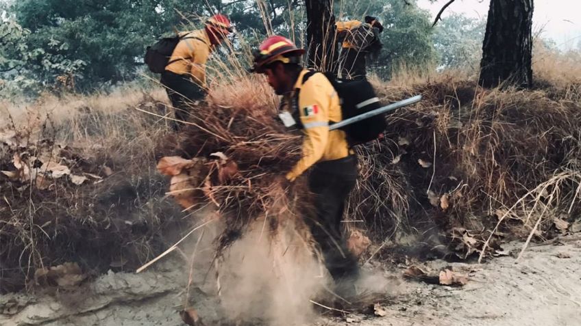 Jalisco: Continúan los incendios en el Área Natural del Bosque de la Primavera