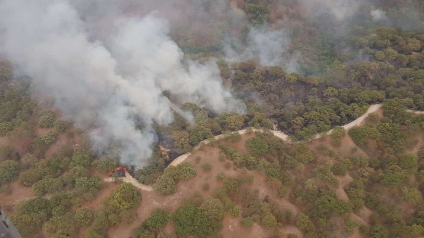 Incendio en Bosque de la Primavera ha sido controlado en un 80 por ciento, estiman autoridades