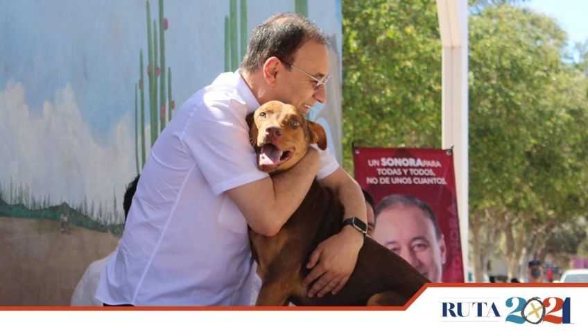 Alfonso Durazo abraza a Chocolate, perrito callejero que enterneció su visita a Cajeme