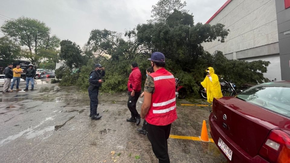 Elementos de Protección Civil y de Seguridad atienden a la población debido a los incidentes ocasionados por la lluvia. Foto: Especial