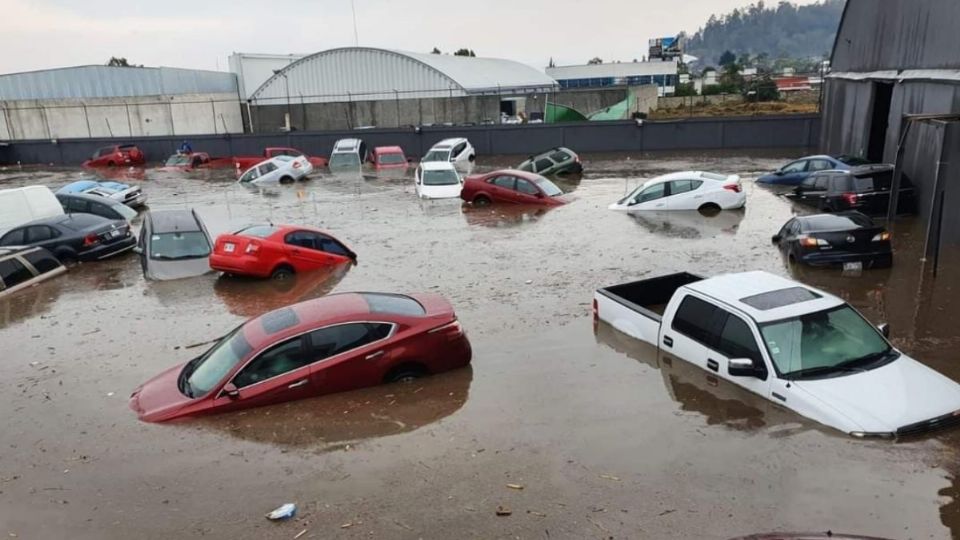 Hasta el momento todo quedó en daños materiales. Foto: @estupidonio