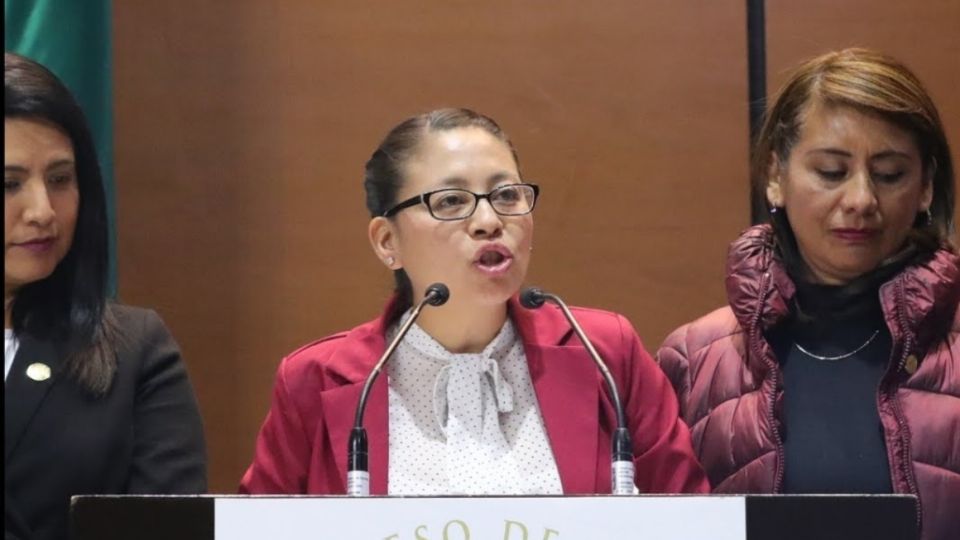 SU HIJO. El pequeño José Manuel acompañó a su madre
en diversas sesiones y debates en el Pleno. Foto: Especial