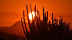 ¡Qué calor! En México está la ciudad más caliente del mundo, te decimos cuál es