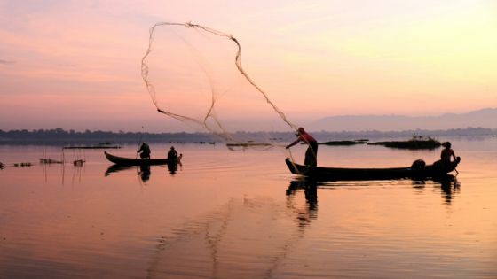 Ivideliza Reyes propone reforma a la Ley del Trabajo y del Seguro Social para beneficiar a pescadores acuícolas