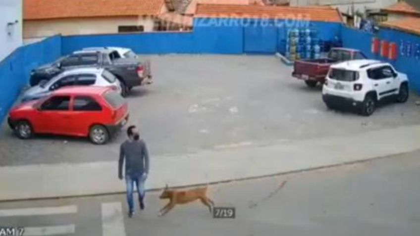 Hombre es derribado por perrito en fuga y VIDEO enciende las redes por su reacción