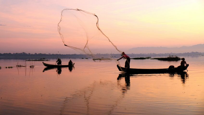 Ivideliza Reyes propone reforma a la Ley del Trabajo y del Seguro Social para beneficiar a pescadores acuícolas