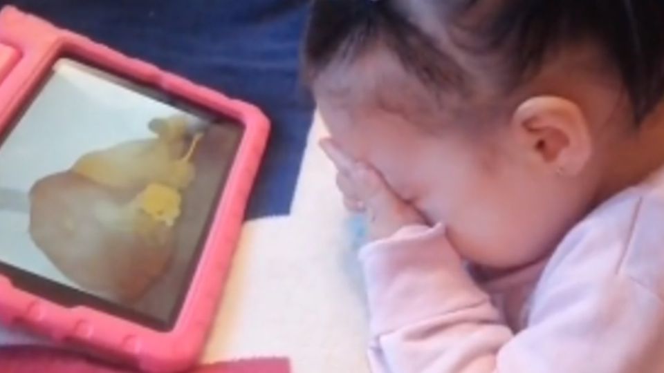 La reacción de la pequeña niña ya acumula más de dos millones de reproducciones en TikTok. Foto: TikTok @jetsaminbarrera