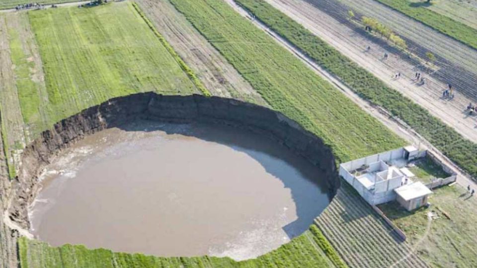 Estos animales podrían ser rescatados en breve