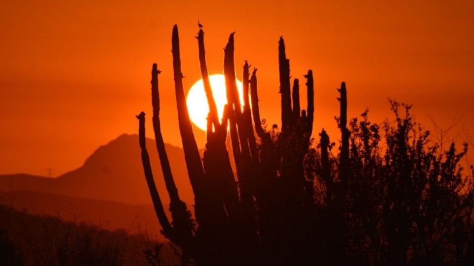 En la zona norte del país ya comienzan a ver los estragos del intenso calor, como en la presa La Boca de Nuevo León