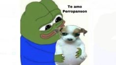 "Todo chikito", el perrito "panson" y la historia detrás del Meme de la Semana