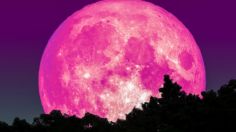 Superluna de Fresas: ¿Cuándo es dónde ver el fenómeno astronómico?