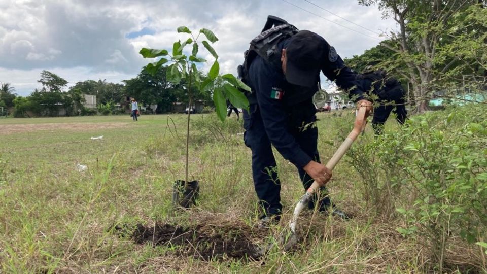 Los policías estatales participaron en la siembra de 100 árboles. Foto: Juan David Castilla Arcos