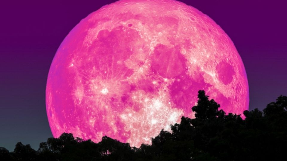 Superluna de Fresa. Foto: Shutterstock